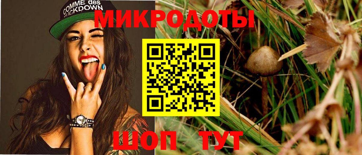 Галлюциногенные грибы GOLDEN TEACHER  Вход с VPN  Лыткарино 
